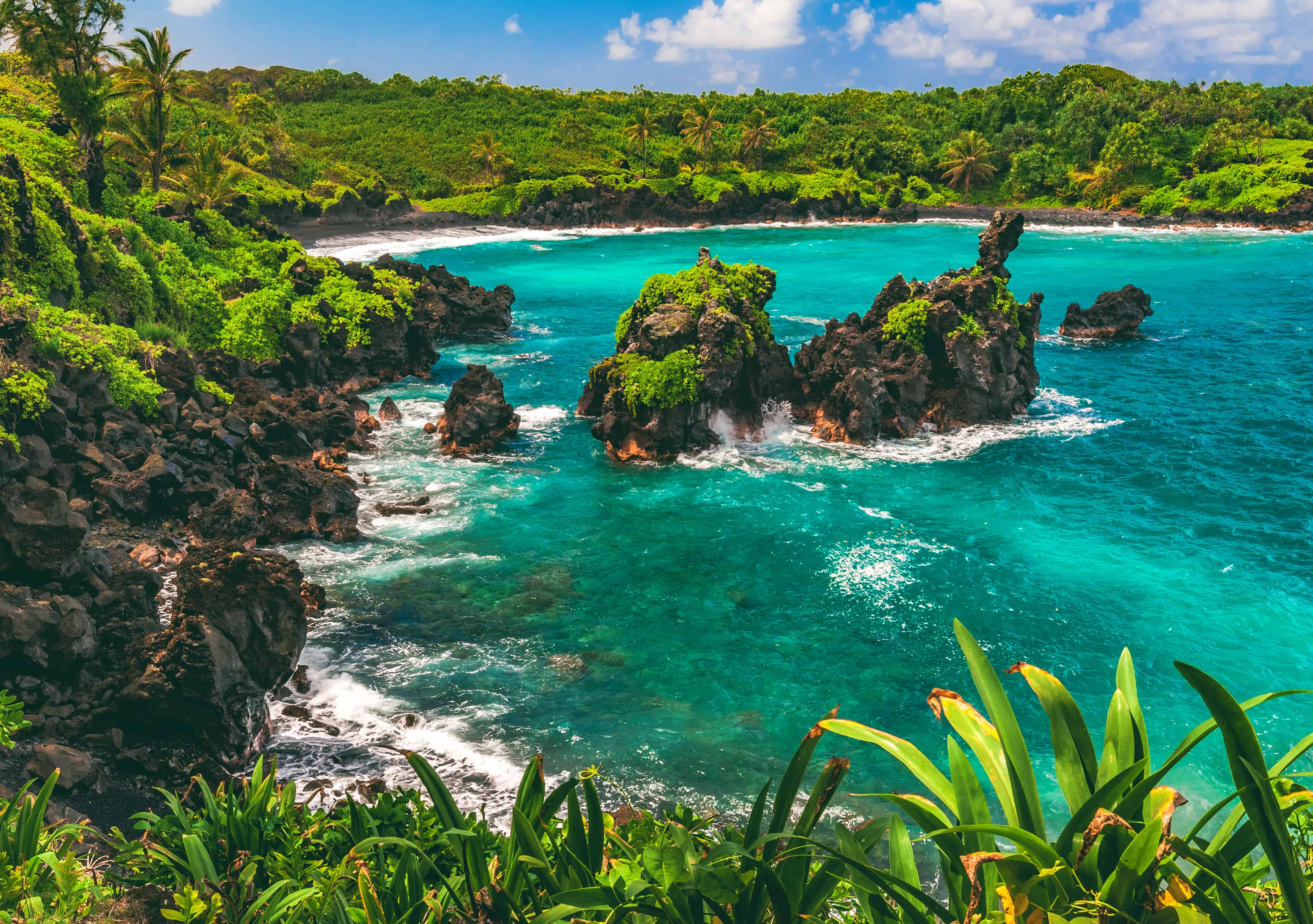 Maui Beach